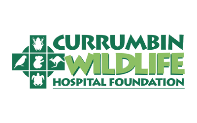 Currumbin Wildlife Hospital Foundation